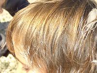 20110919-20110919-Ausflug Tongrube (79)